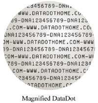 Data Dots